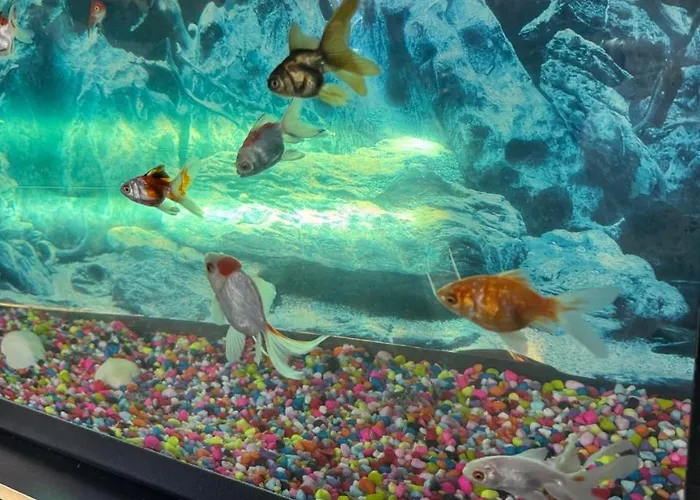 The Pera Szálloda Marmaris